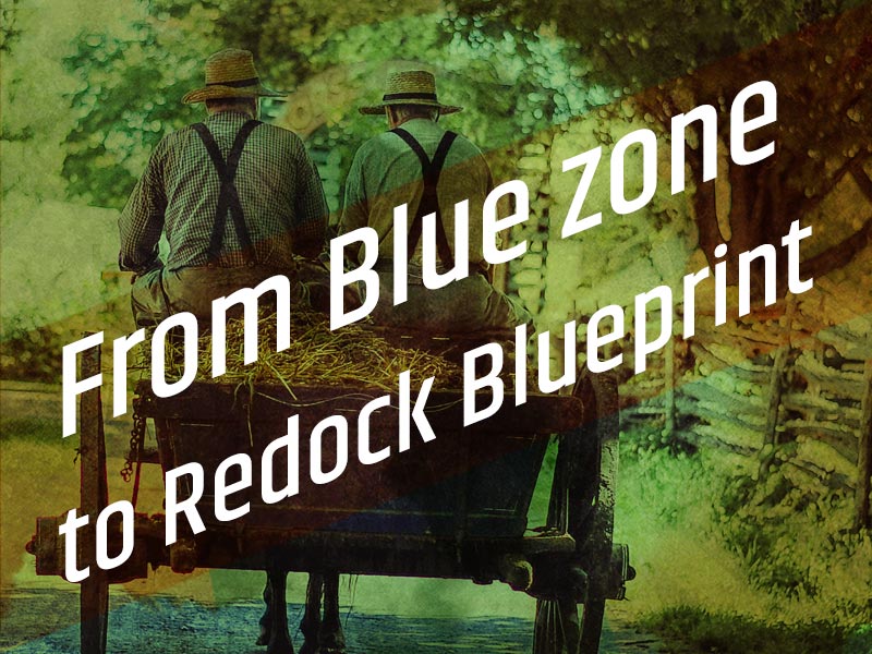 The term blue zones is introduces by the American researcher Dan Buettner. He pointed out five zones in the world where people have a much higher life expectancy then the people around them. We are talking about a moderate age of 95-105 years old!